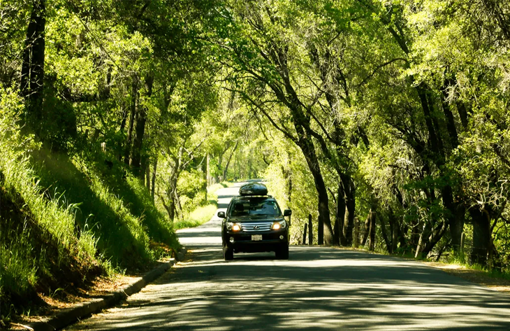 Cómo viajar con poco dinero