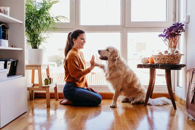 Mujer jugando con un perro en una casa
