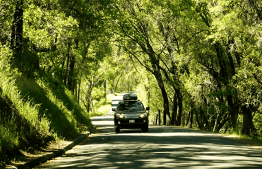 Viaje por carretera en camioneta