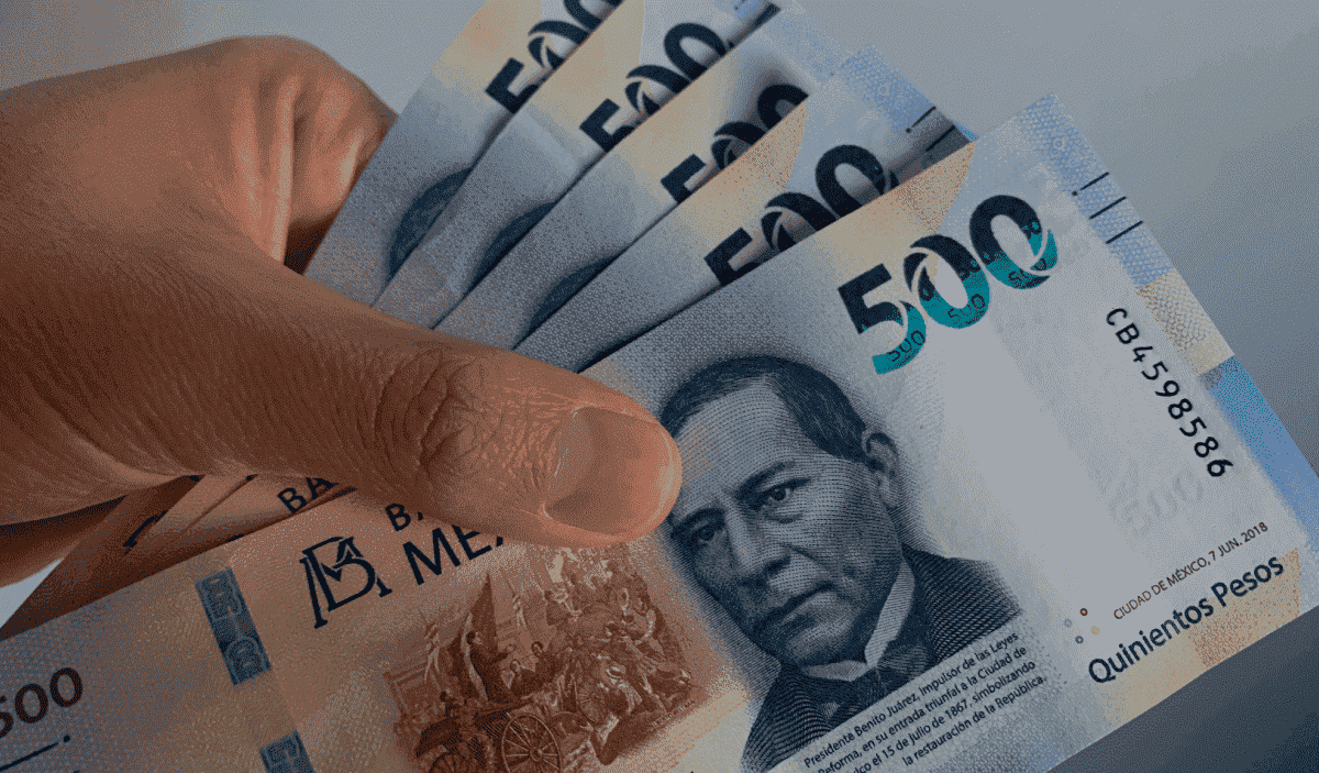 Persona sosteniendo billetes