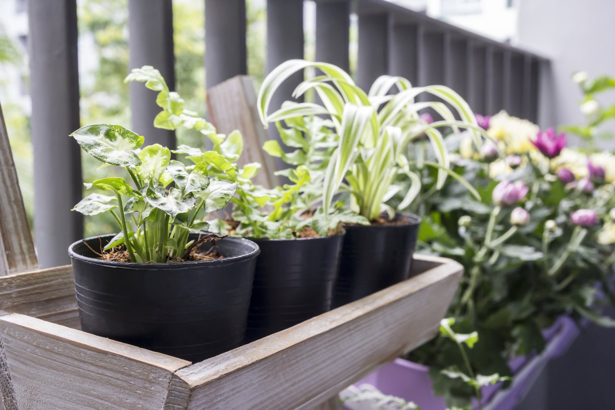 5 ideas para decorar los jardines pequeños